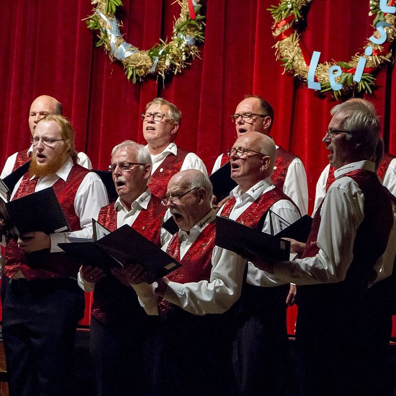 Jahreskonzert Luat Leise 2017 02