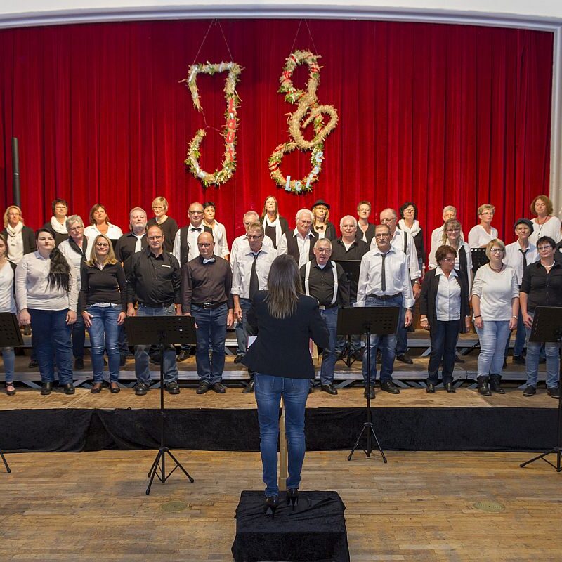 Jahreskonzert Luat Leise 2017 06