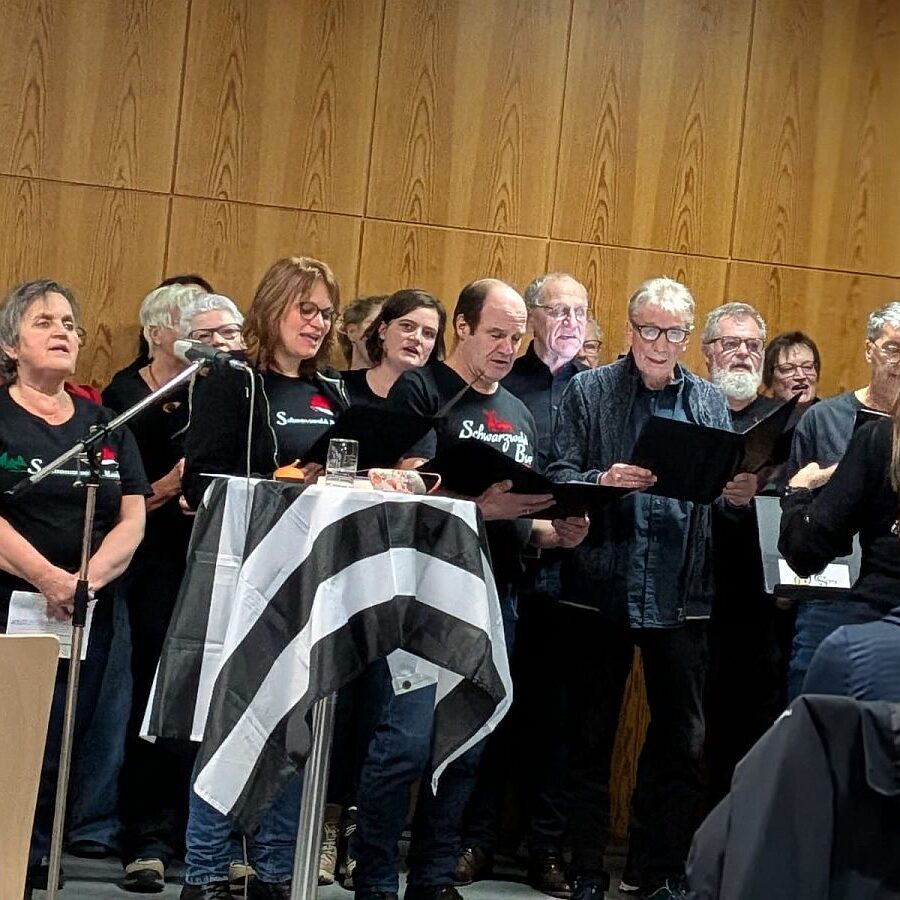 Just Singing Lesung 1