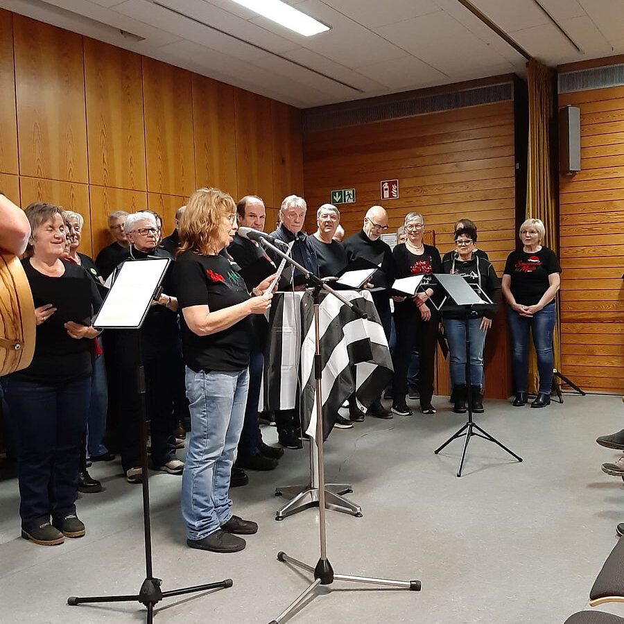 Just Singing Lesung 2